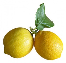 limon4oo