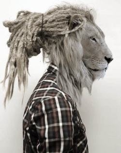 Dreadlocked